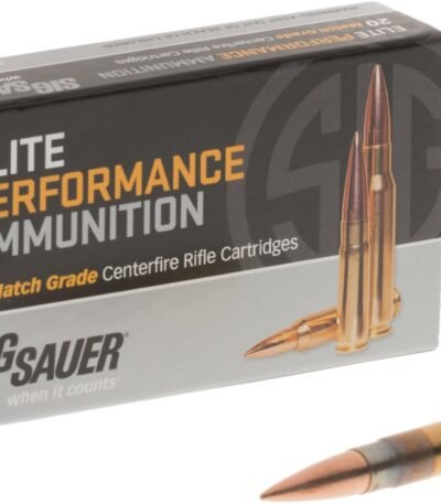 SIG SAUER Elite Match Grade OTM .300 BLK 220-Grain Rifle Ammunition